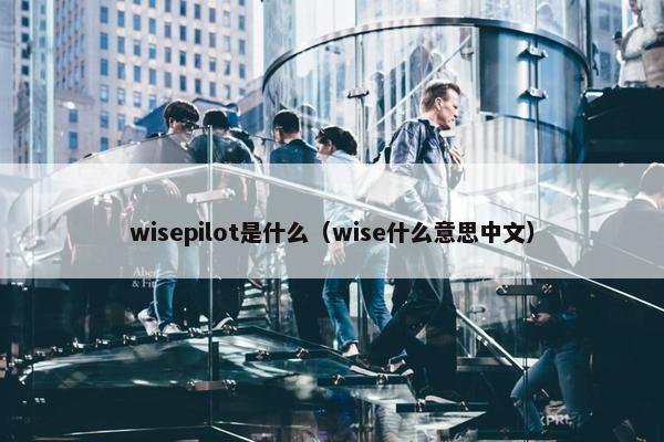 wisepilot是什么（wise什么意思中文）