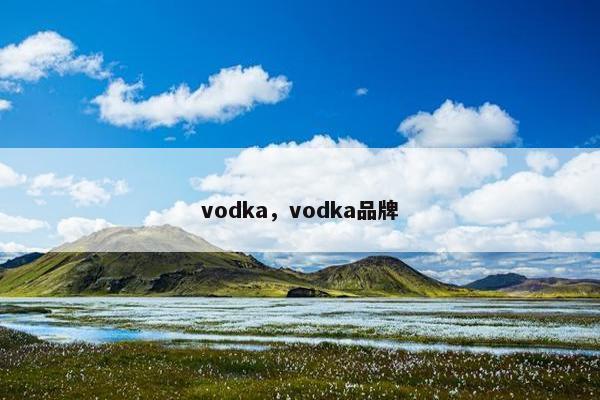 vodka，vodka品牌