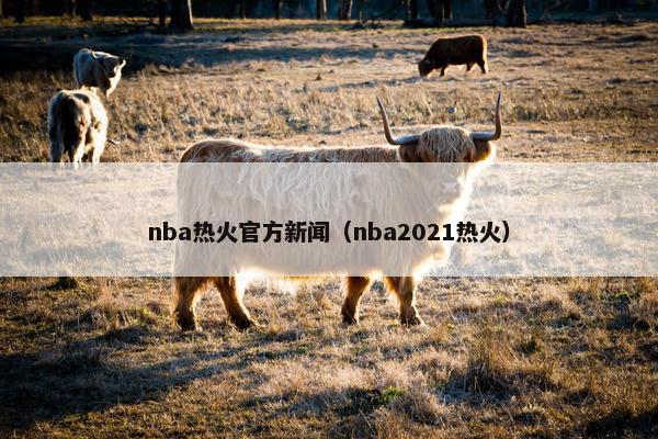 nba热火官方新闻（nba2021热火）
