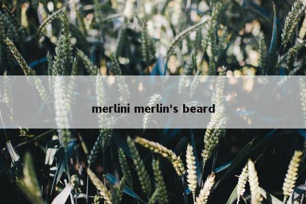 merlini merlin's beard