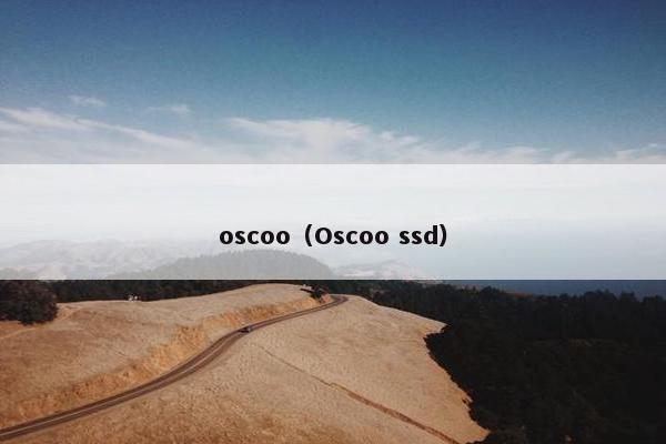 oscoo（Oscoo ssd）