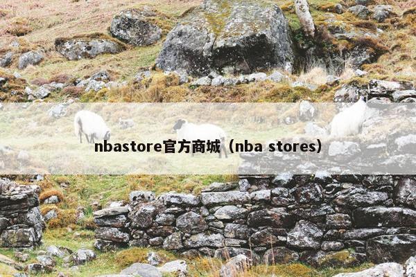 nbastore官方商城（nba stores）