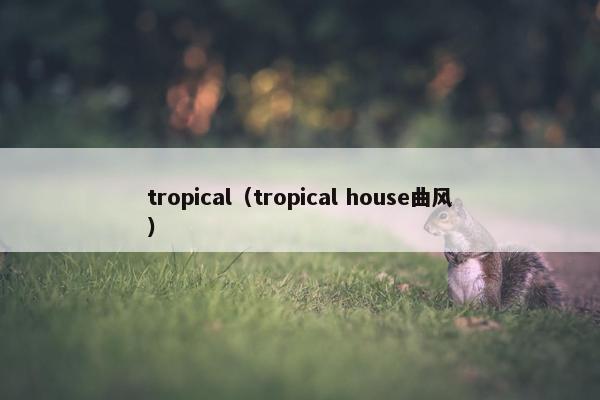 tropical（tropical house曲风）