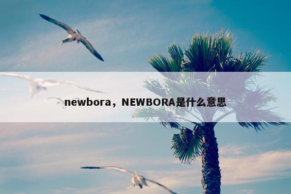 newbora，NEWBORA是什么意思