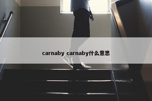 carnaby carnaby什么意思