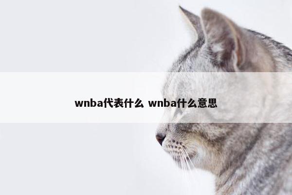 wnba代表什么 wnba什么意思