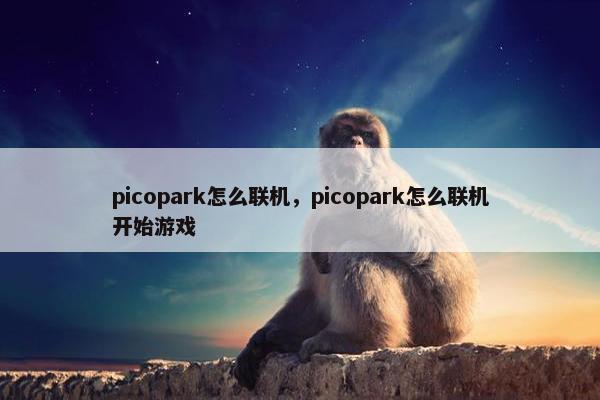 picopark怎么联机，picopark怎么联机开始游戏