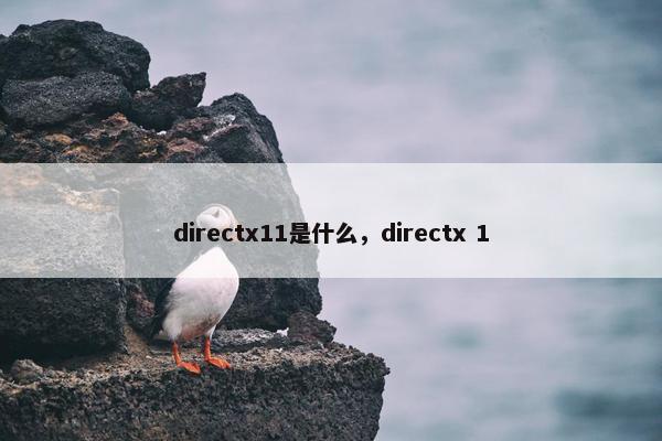directx11是什么，directx 1