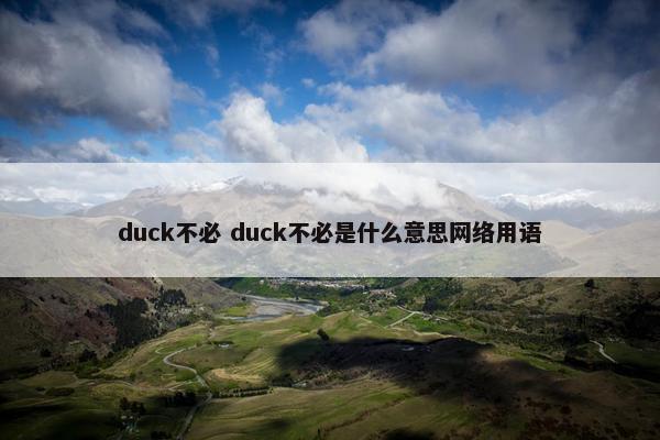 duck不必 duck不必是什么意思网络用语