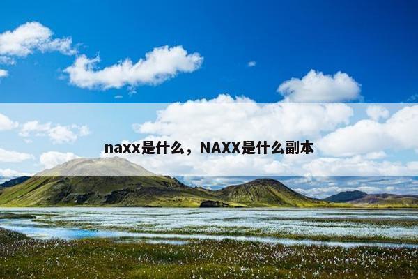 naxx是什么，NAXX是什么副本