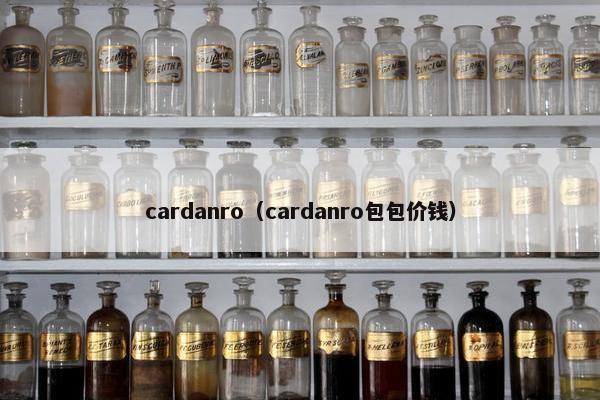 cardanro（cardanro包包价钱）