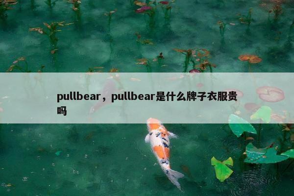 pullbear，pullbear是什么牌子衣服贵吗