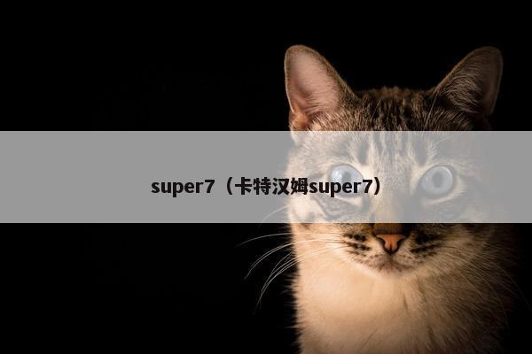 super7（卡特汉姆super7）