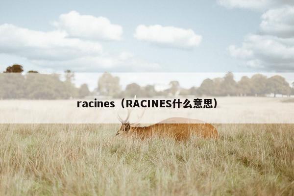 racines（RACINES什么意思）