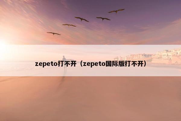 zepeto打不开（zepeto国际版打不开）
