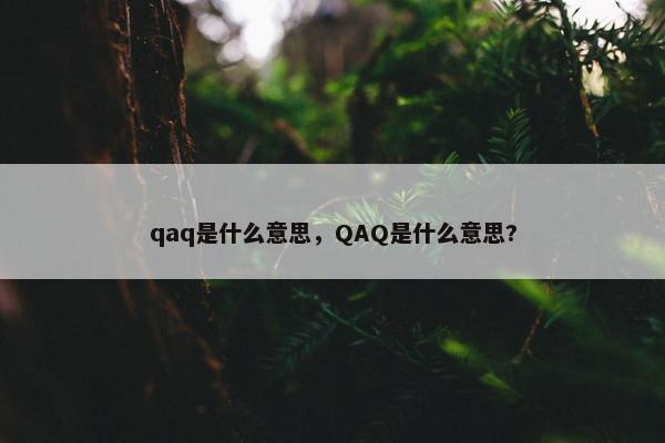 qaq是什么意思，QAQ是什么意思?