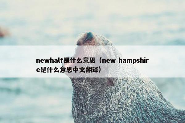 newhalf是什么意思（new hampshire是什么意思中文翻译）