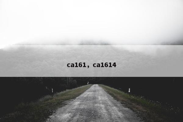 ca161，ca1614