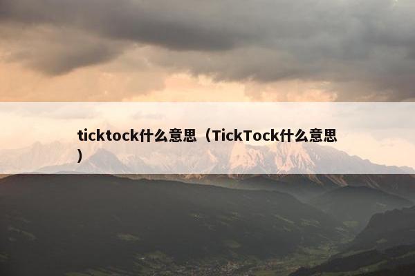 ticktock什么意思（TickTock什么意思）