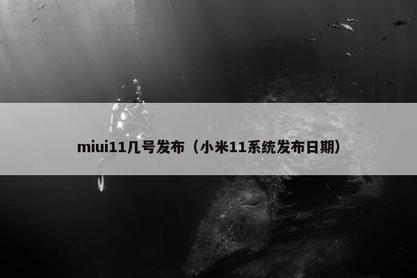 miui11几号发布（小米11系统发布日期）