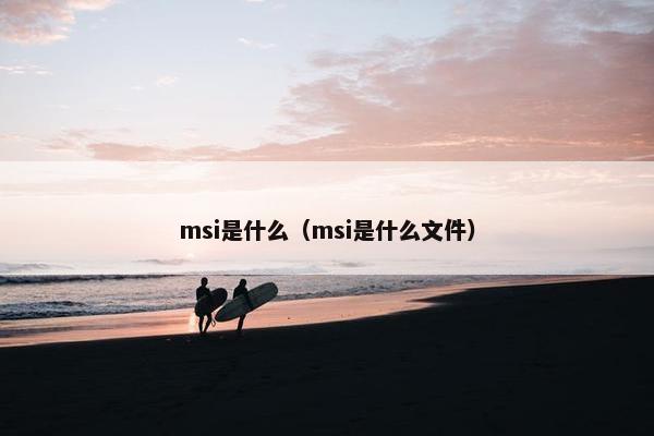 msi是什么（msi是什么文件）