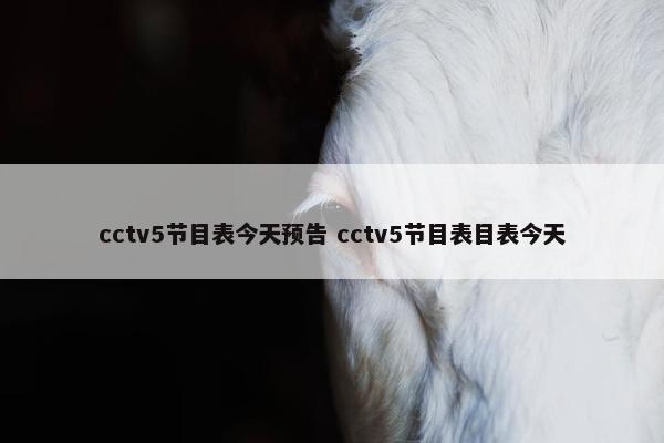 cctv5节目表今天预告 cctv5节目表目表今天