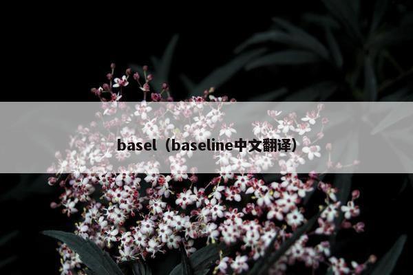 basel（baseline中文翻译）