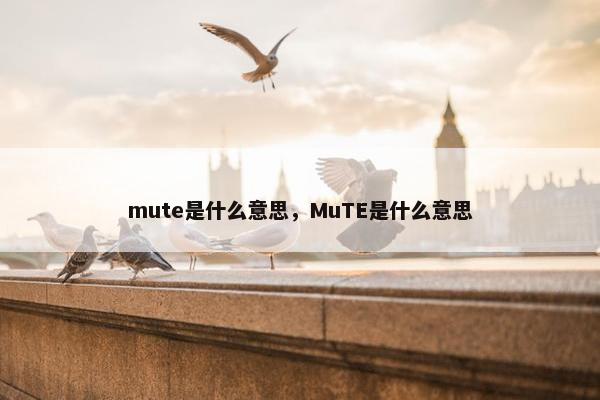 mute是什么意思，MuTE是什么意思