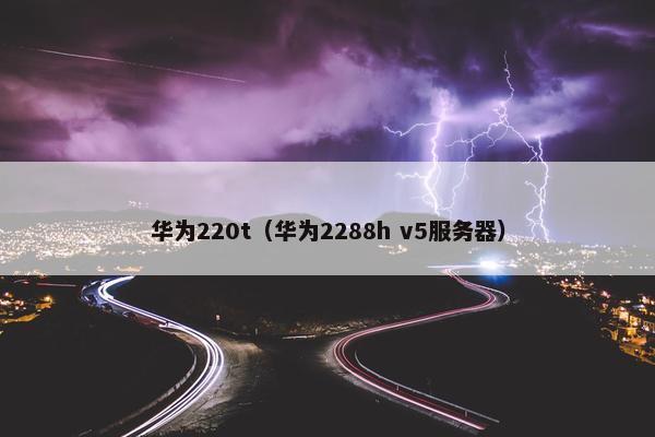 华为220t（华为2288h v5服务器）