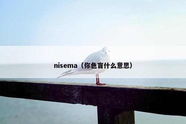nisema（你色盲什么意思）