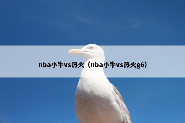 nba小牛vs热火（nba小牛vs热火g6）