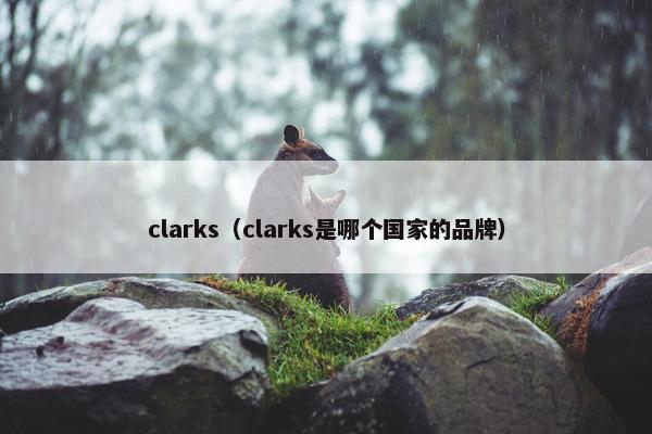clarks（clarks是哪个国家的品牌）