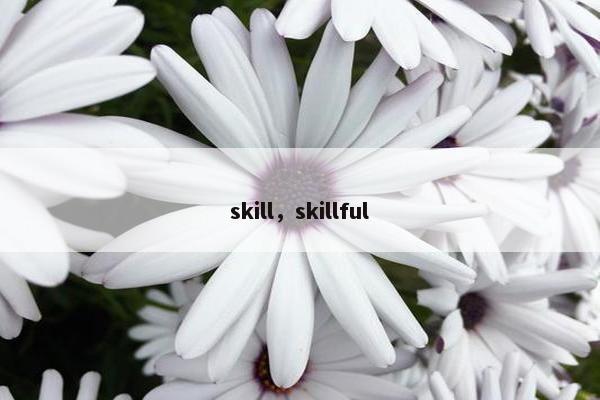 skill，skillful