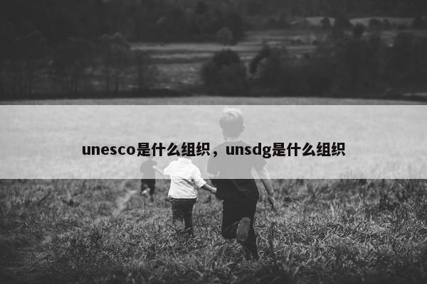 unesco是什么组织，unsdg是什么组织