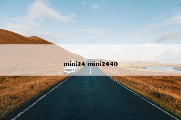 mini24 mini2440