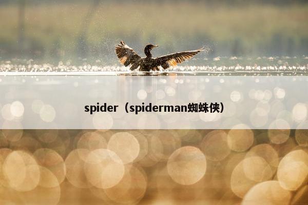 spider（spiderman蜘蛛侠）
