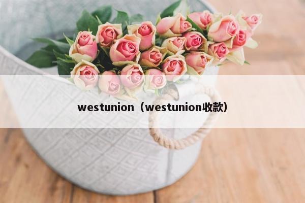 westunion（westunion收款）