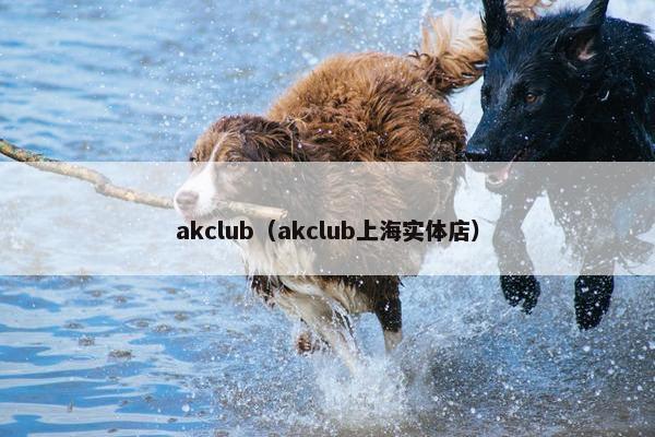 akclub（akclub上海实体店）