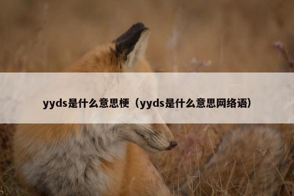 yyds是什么意思梗（yyds是什么意思网络语）