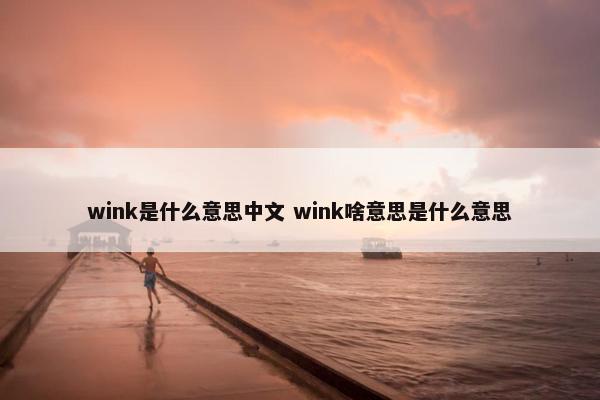 wink是什么意思中文 wink啥意思是什么意思