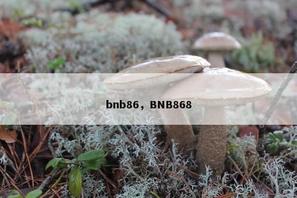 bnb86，BNB868
