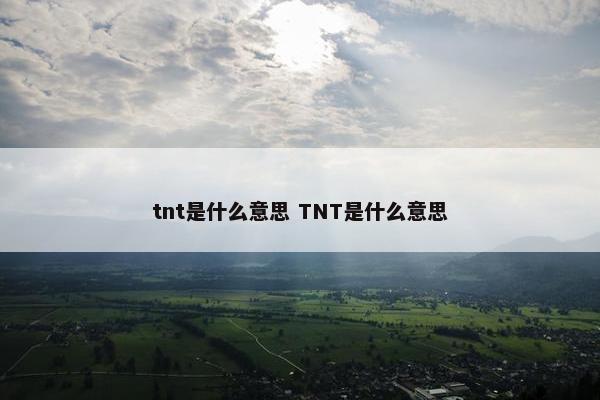 tnt是什么意思 TNT是什么意思