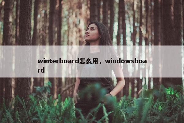 winterboard怎么用，windowsboard