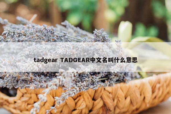 tadgear TADGEAR中文名叫什么意思