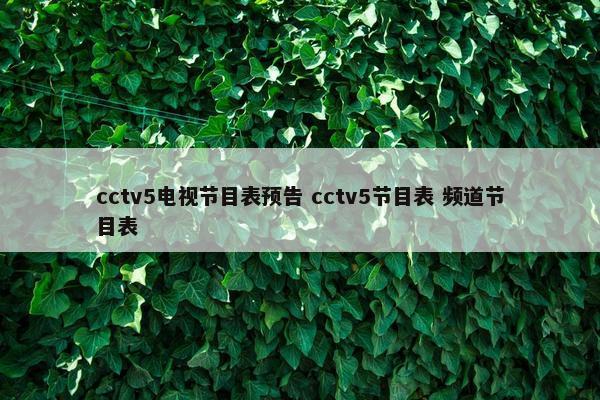 cctv5电视节目表预告 cctv5节目表 频道节目表