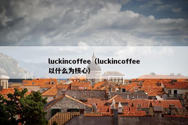 luckincoffee（luckincoffee以什么为核心）