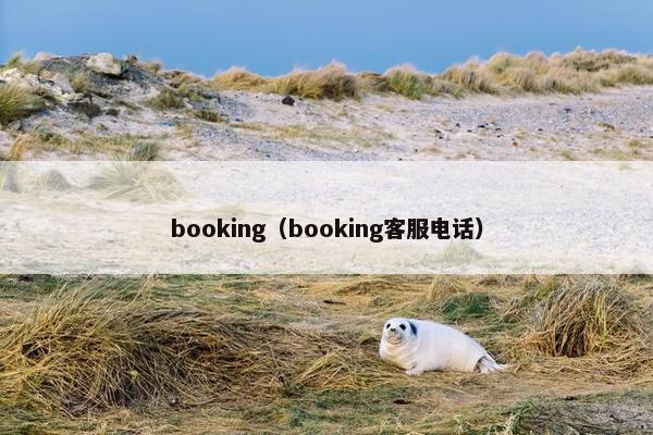 booking（booking客服电话）