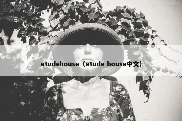 etudehouse（etude house中文）