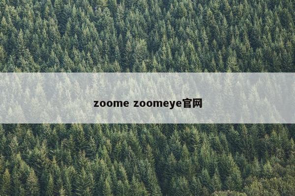 zoome zoomeye官网