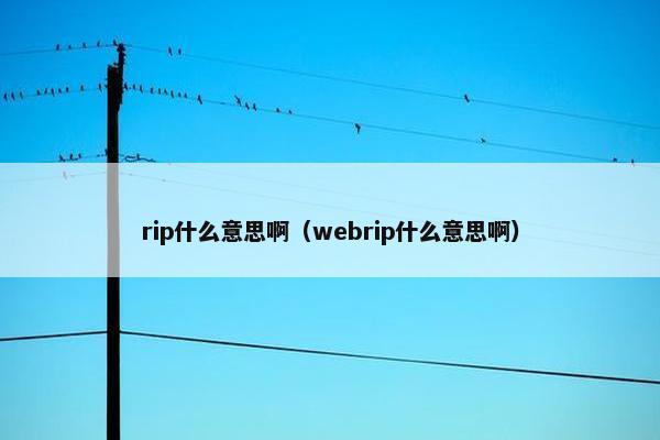 rip什么意思啊（webrip什么意思啊）